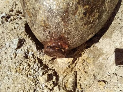 Bombe aérienne dégagée entre les parois d'une fouille